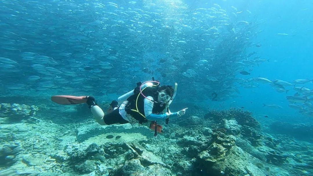 加勒比海度假村