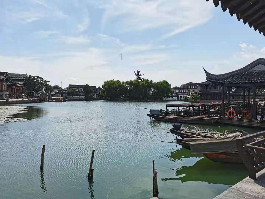 8万株古树名木“留住”绿美乡愁